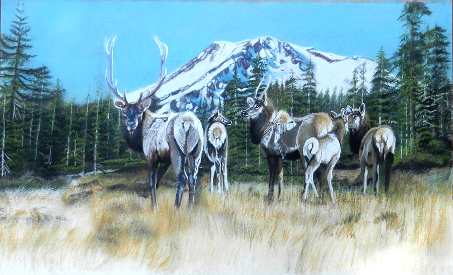 Mt. Shasta Elk - Original Painting